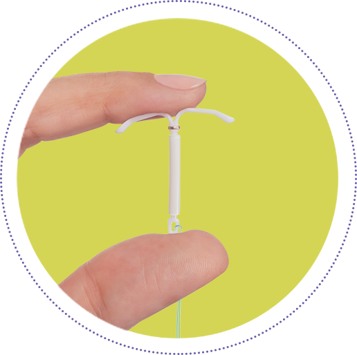 obr. hormonální tělísko 