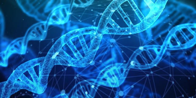 dvojšroubovice DNA